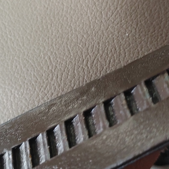 Crocodile Belt - Picture 7 of 8